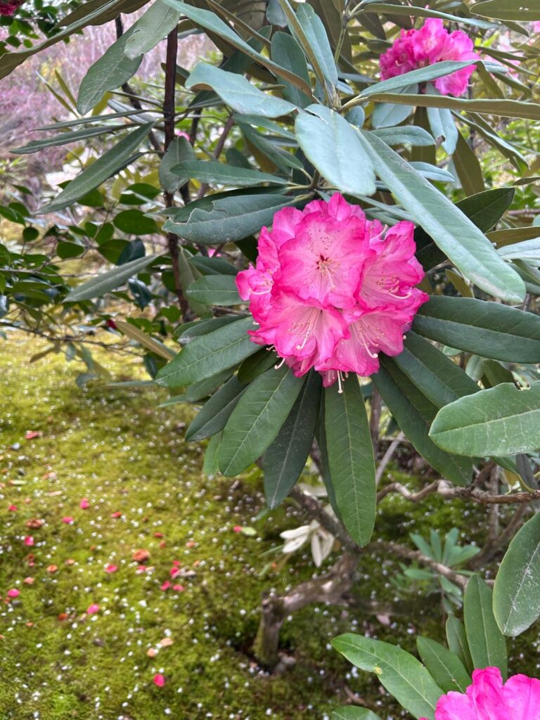 40a45ee1-929c-4475-82fc-75f478389e6f