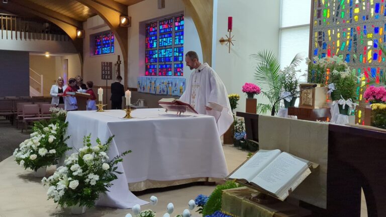 0cb99179-5d66-4901-91e9-d94c8aac7810