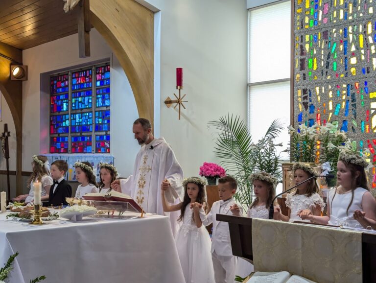 0efb5e82-62fe-4042-a203-9cd55f3277e3