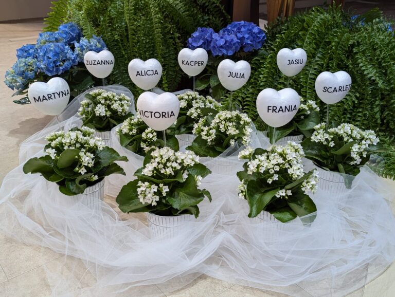 2e591922-5841-405e-9ae6-bf18cd537f14