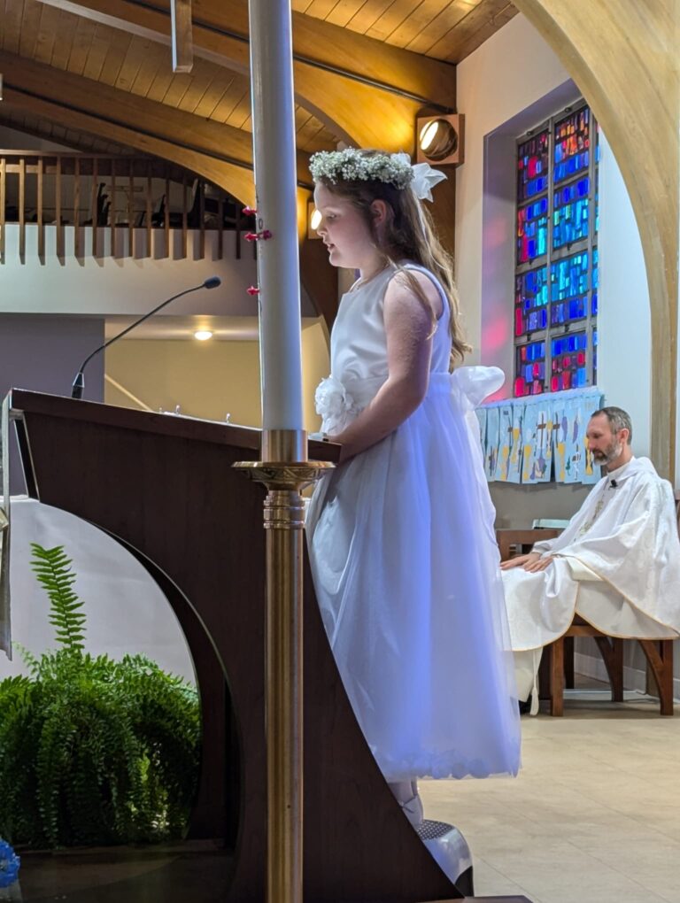 92987cd0-5445-4a51-b9d2-8b38295cc797